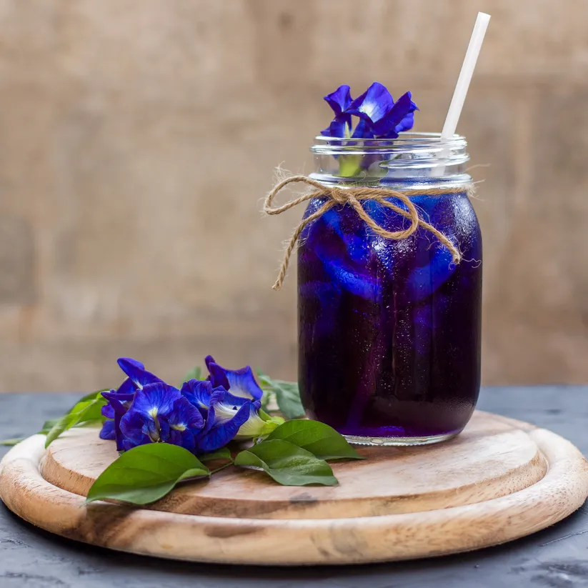 Butterfly Pea Flower Herb - Herbal Tea