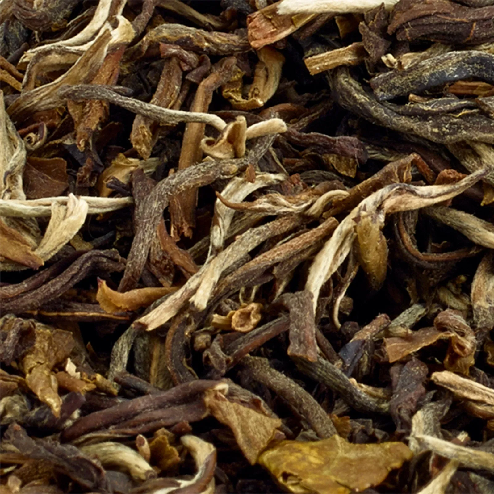 Fujian Jasmine Green - 125g Loose Leaf Tea