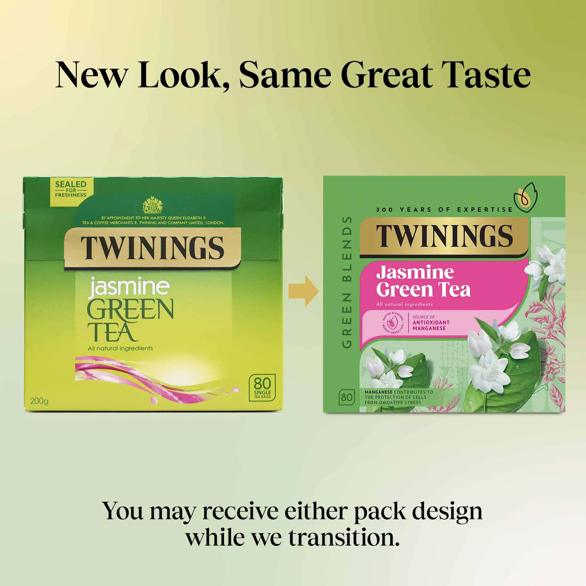 Green Tea & Jasmine - 80 Tea Bags