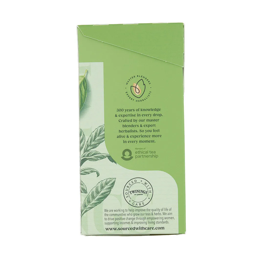 Green Tea Blend - 80 Tea Bags