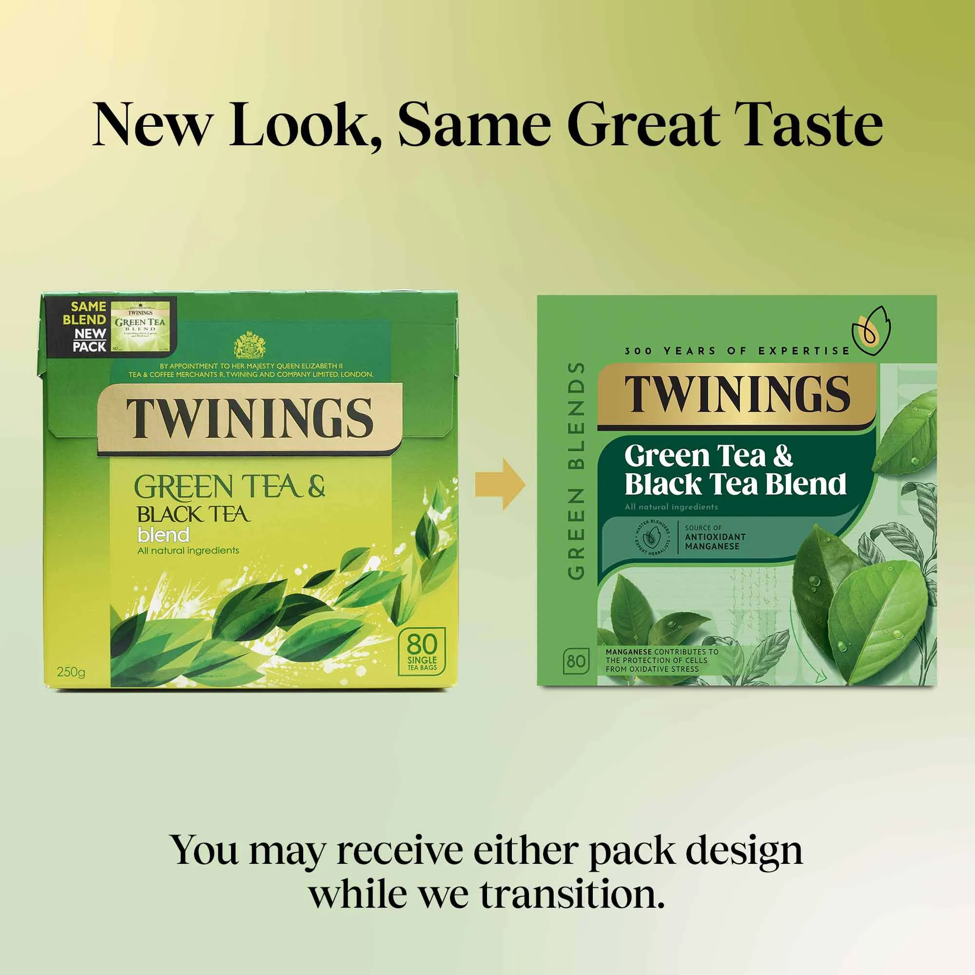 Green Tea Blend - 80 Tea Bags