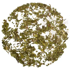 HERBAL TEA | Spearmint