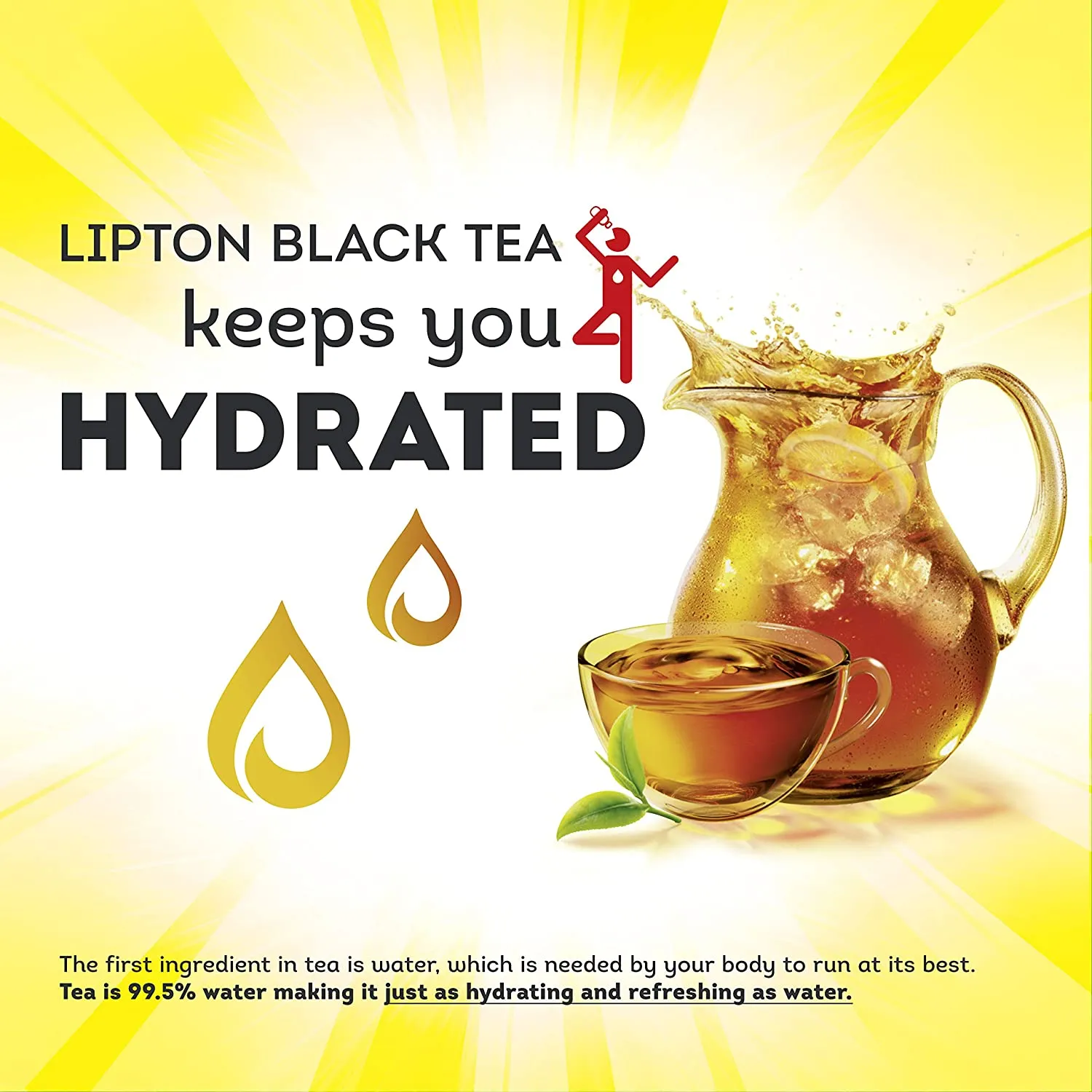 Iced Tea Bags, Picked At The Peak of Freshness, Unsweetened Can Help Support a Healthy Heart 48 Tea Bags