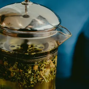 Jasmine Orchard Oolong Tea